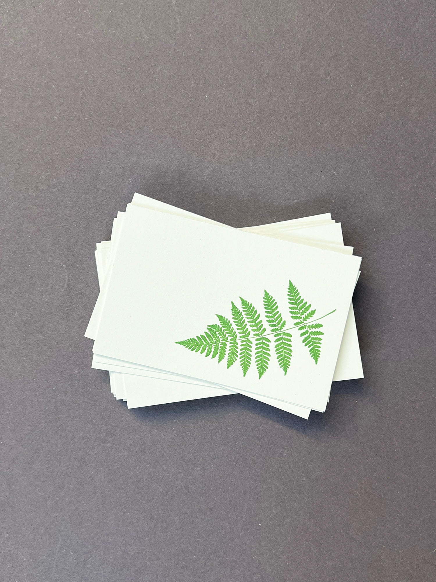 Fern Florist Cards