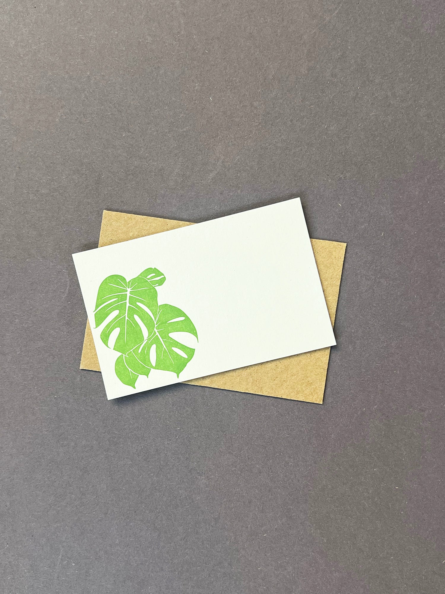Monstera Florist Cards