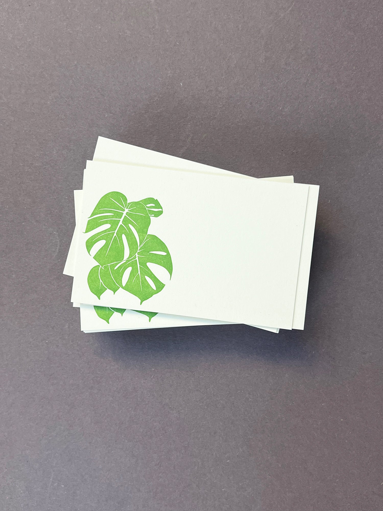 Monstera Florist Cards