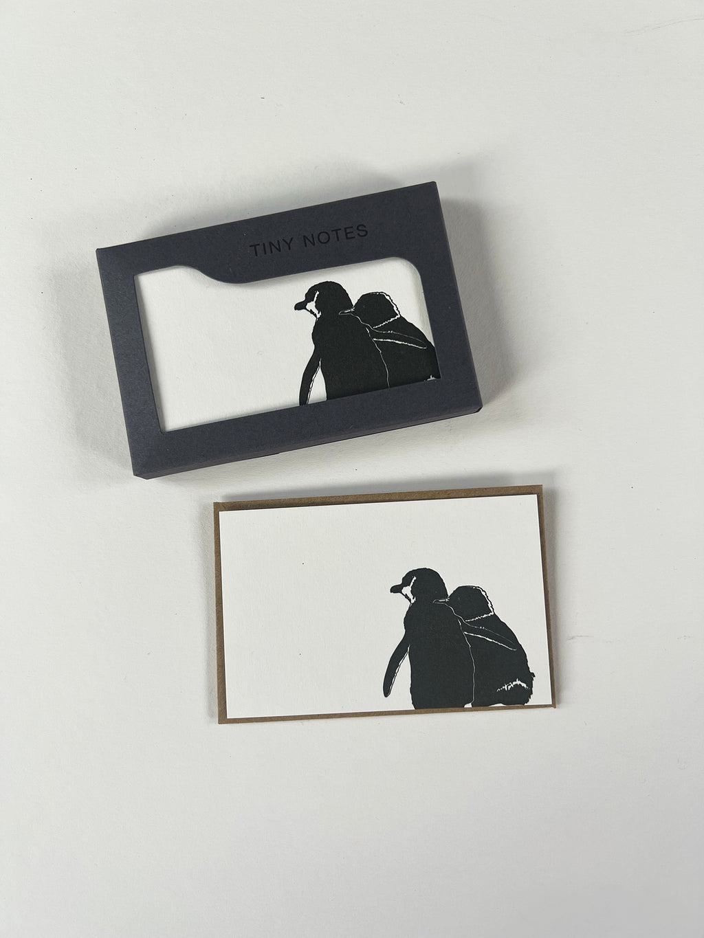 Penguin Hugs Tiny Note Boxed Set | Set of 10
