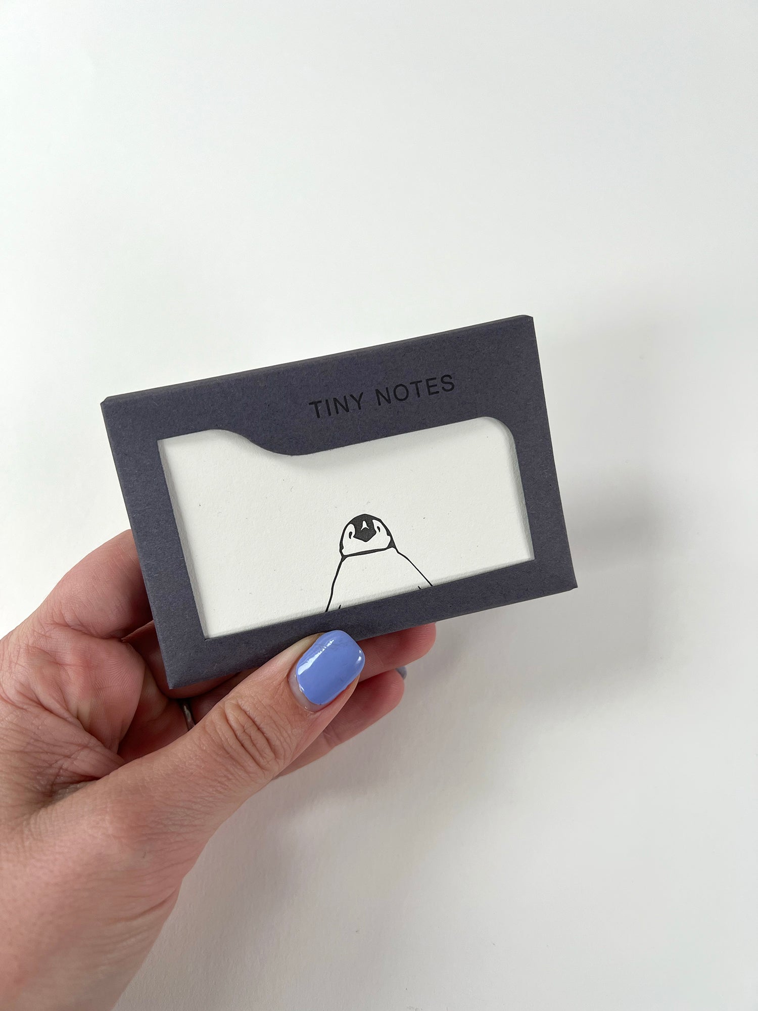 Baby Penguin Tiny Note Boxed Set | Set of 10