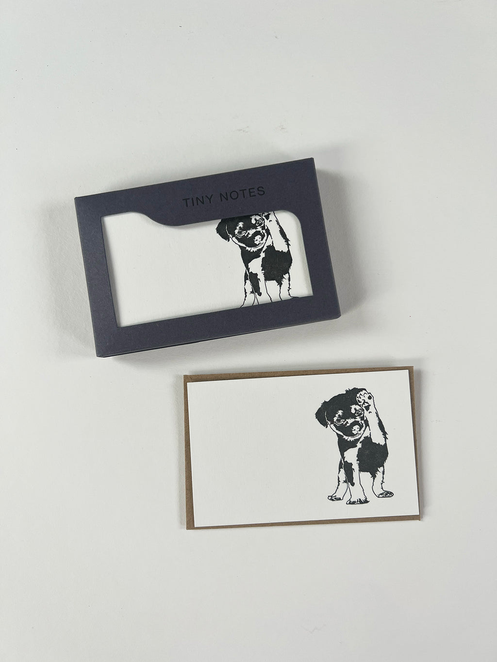 Border Terrier Tiny Note Boxed Set | Set of 10