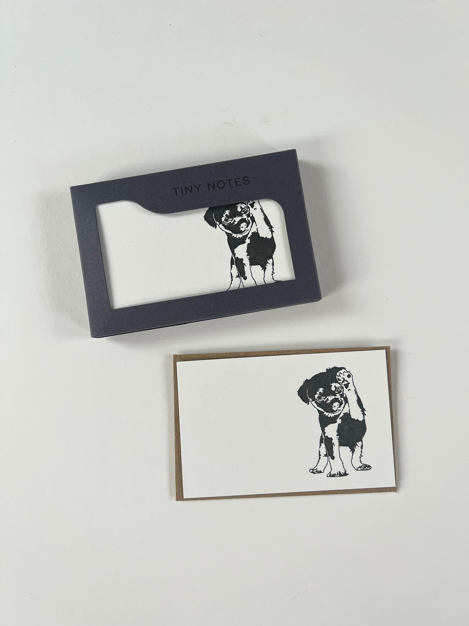 Border Terrier Tiny Note Boxed Set | Set of 10