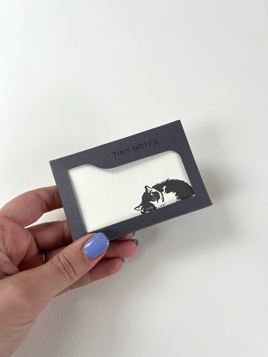 Casey Tiny Note Boxed Set | Set of 10