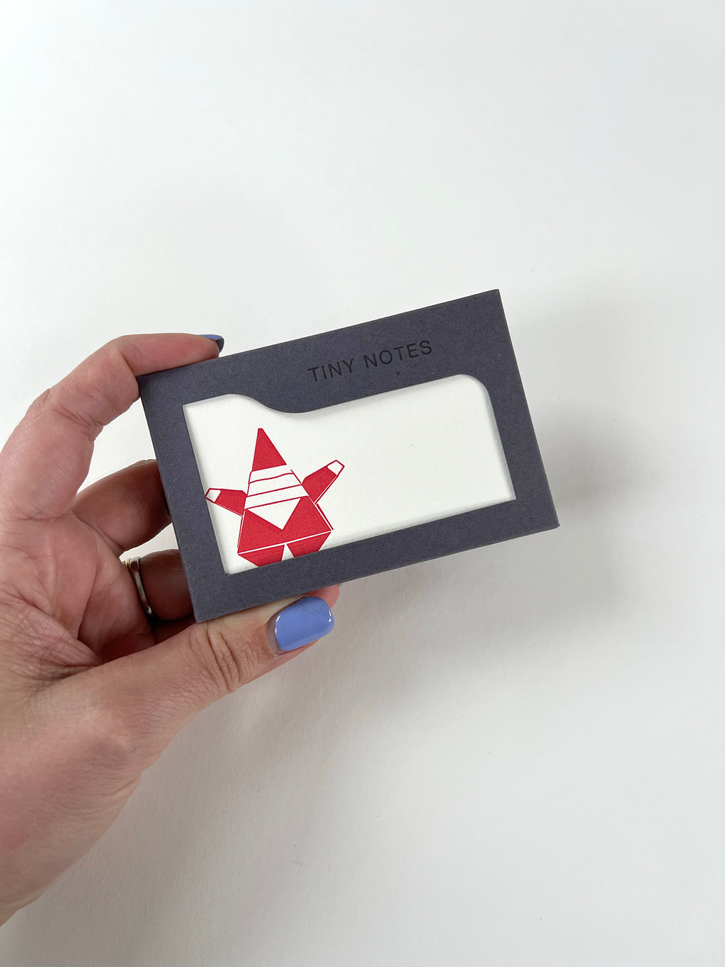 Father Christmas Tiny Note Boxed Set | Set of 10