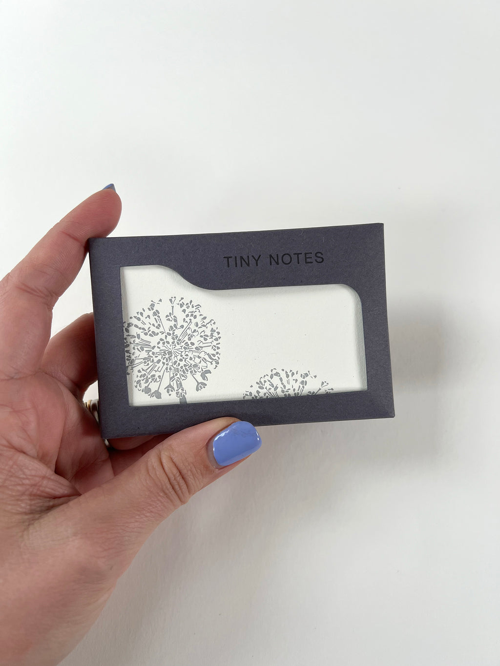 Allium Tiny Note Boxed Set | Set of 10