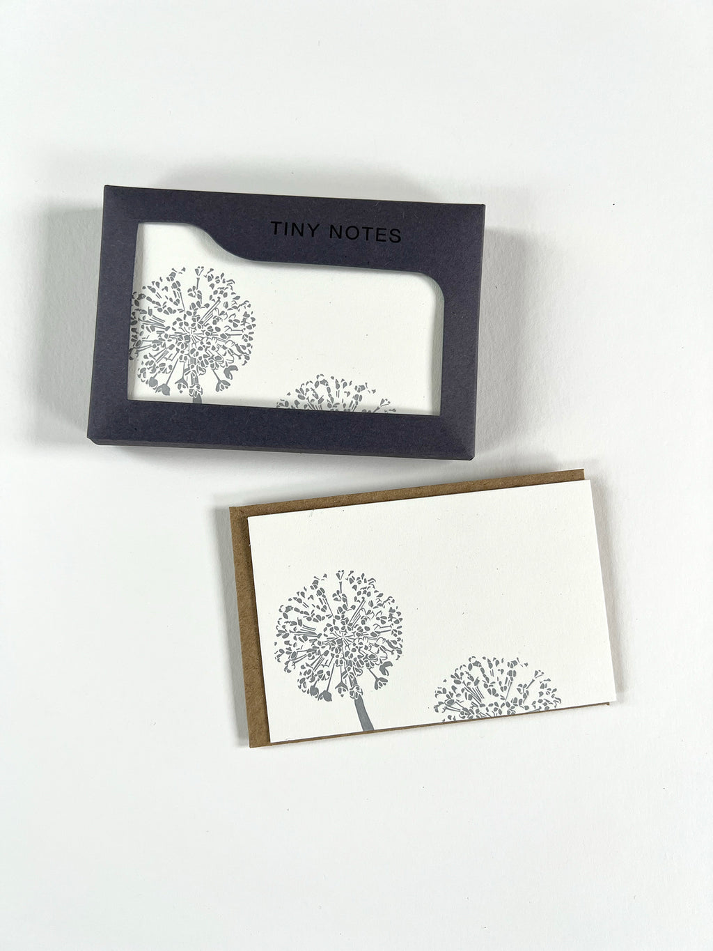 Allium Tiny Note Boxed Set | Set of 10