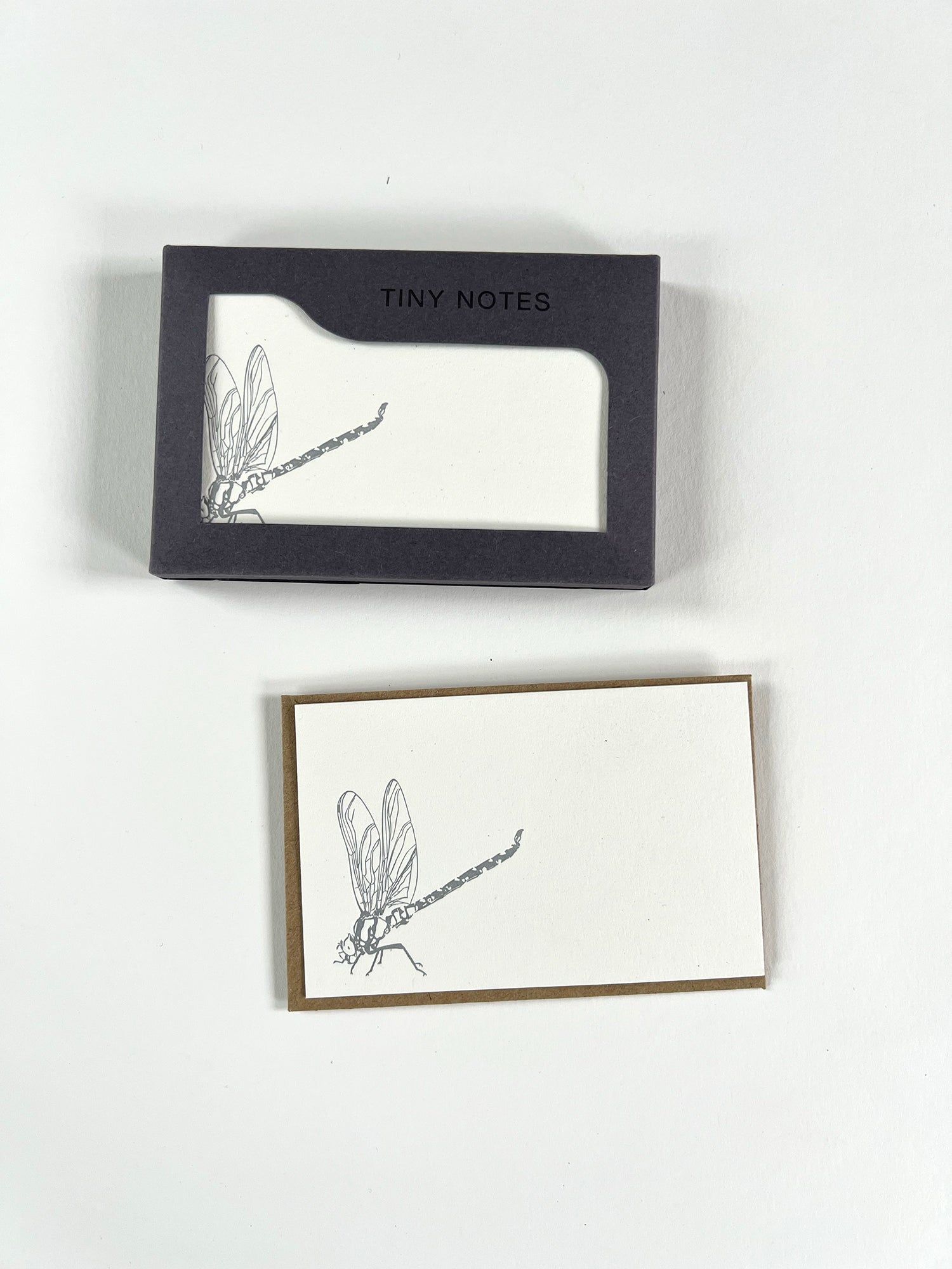 Dragonfly Tiny Note Boxed Set | Set of 10