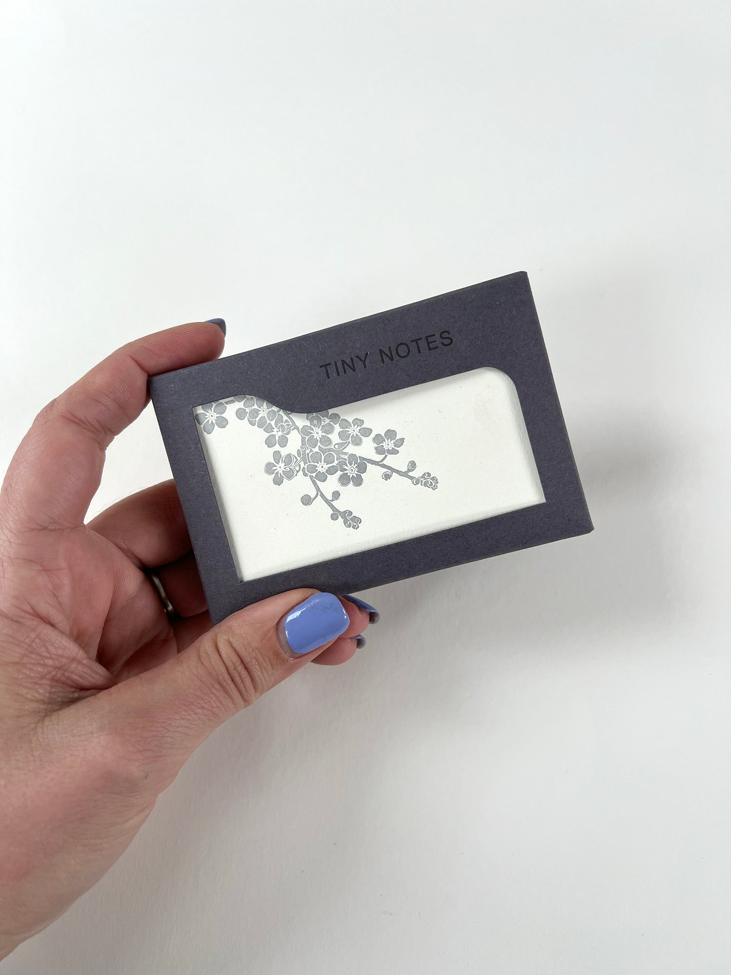 Forget-Me-Not Tiny Note Boxed Set | Set of 10