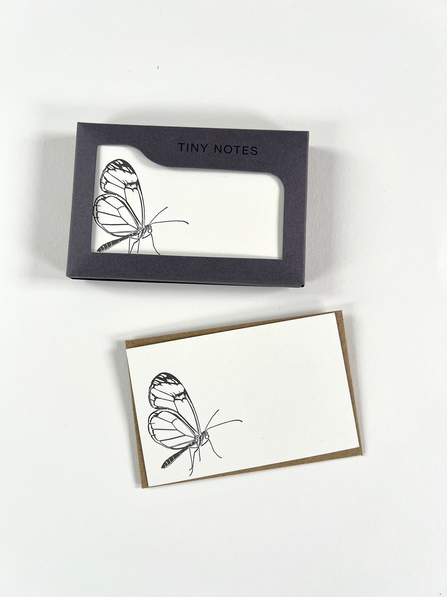 Glasswing Tiny Note Boxed Set | Set of 10