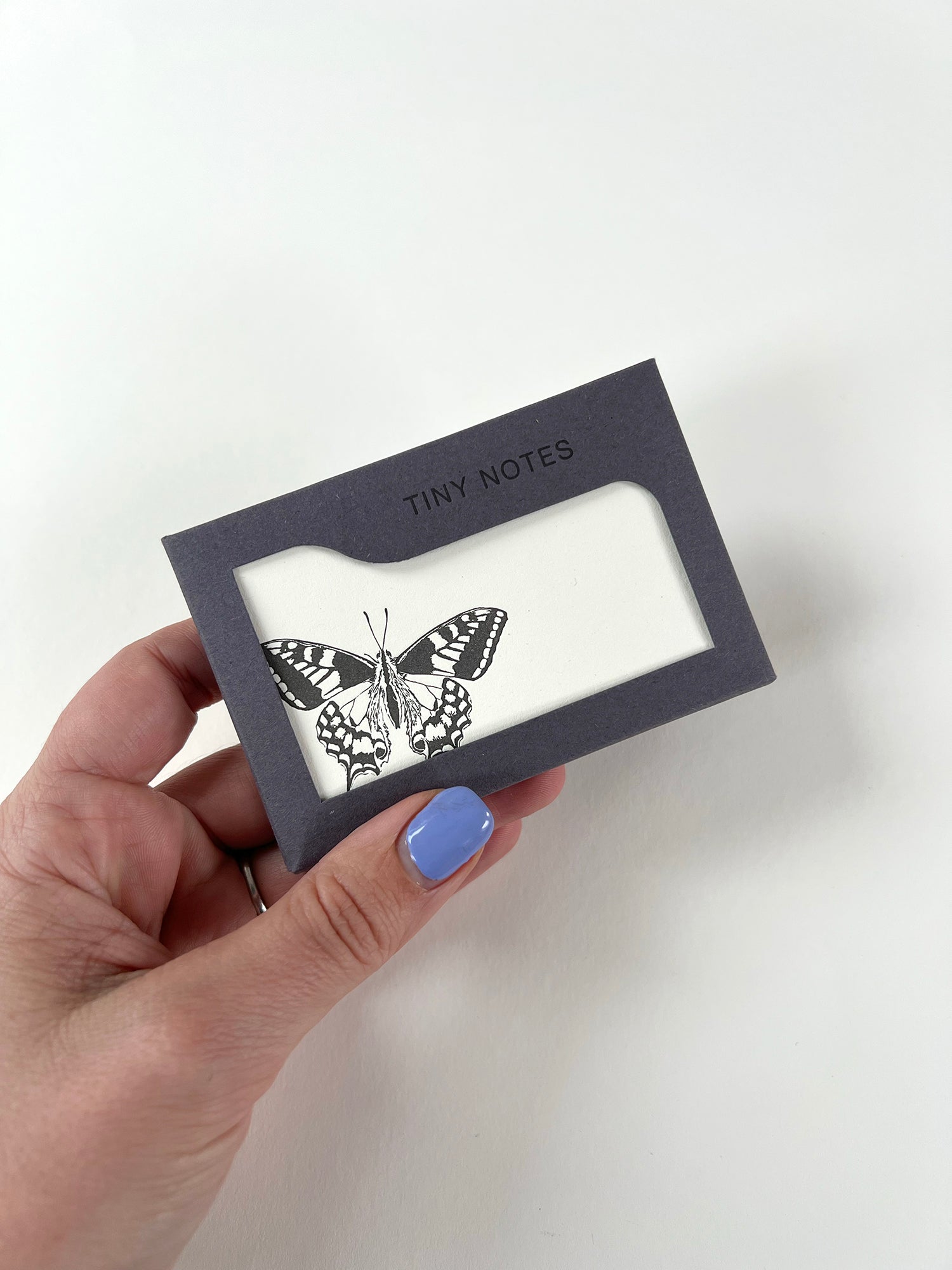 Swallowtail Tiny Note Boxed Set | Set of 10