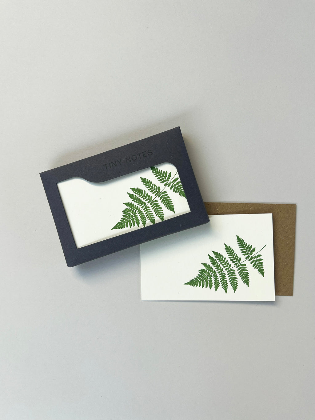 Fern Tiny Note Boxed Set | Set of 10