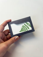 Fern Tiny Note Boxed Set | Set of 10