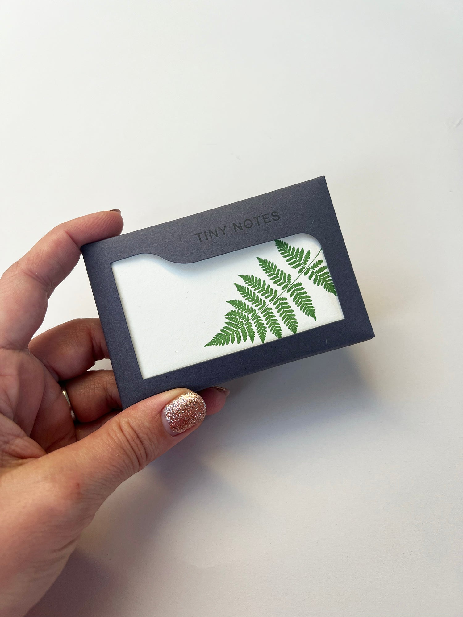 Fern Tiny Note Boxed Set | Set of 10
