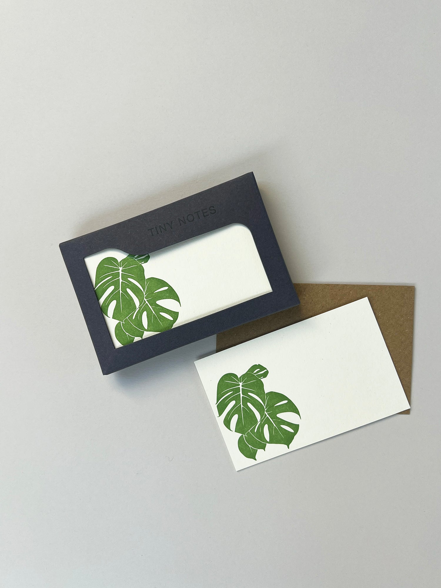 Monstera Tiny Note Boxed Set | Set of 10