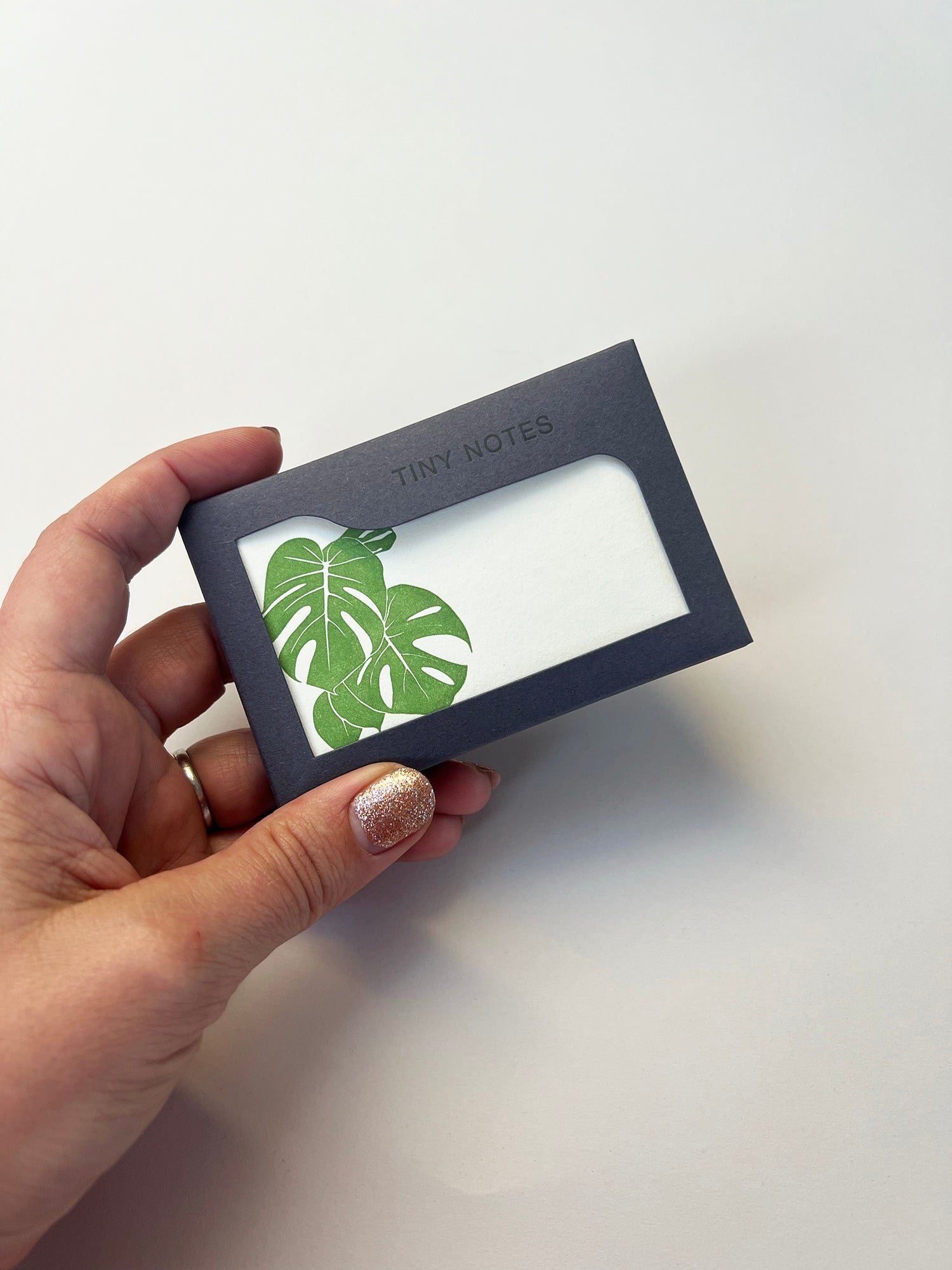 Monstera Tiny Note Boxed Set | Set of 10