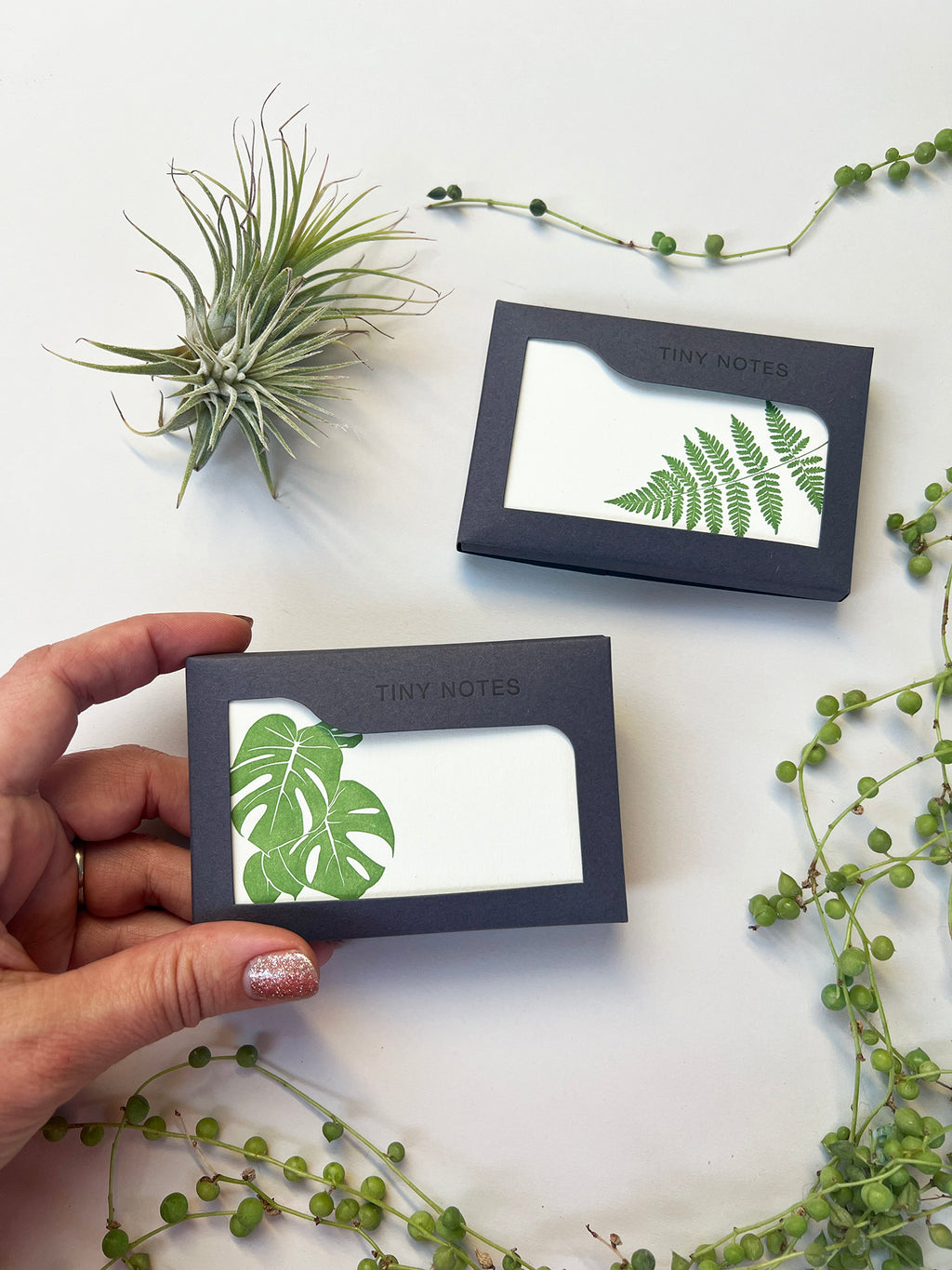 Fern Tiny Note Boxed Set | Set of 10