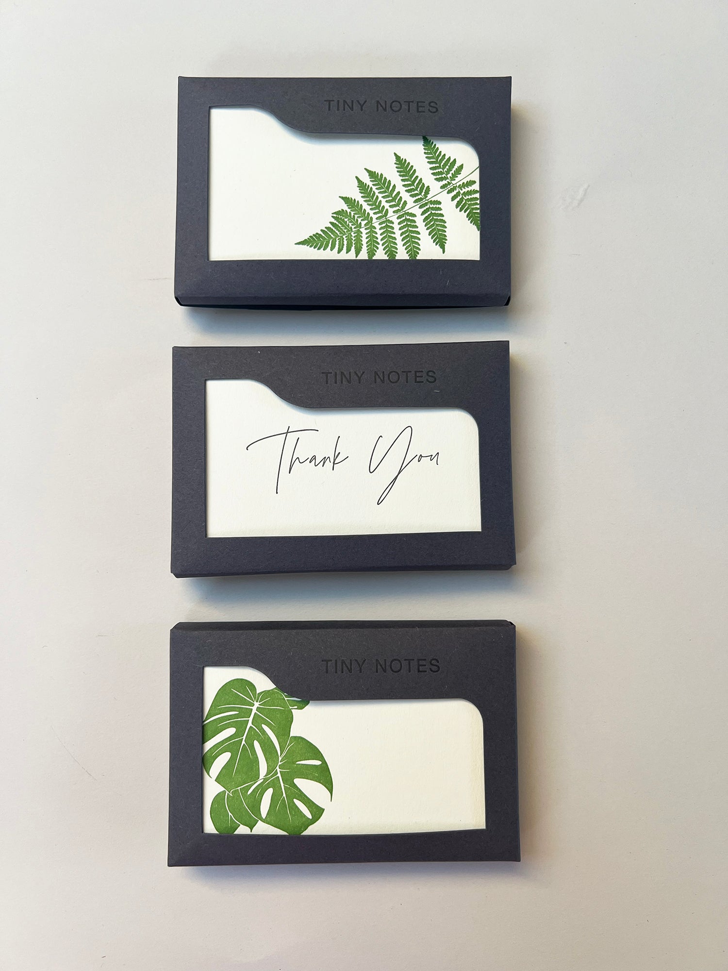 Fern Tiny Note Boxed Set | Set of 10