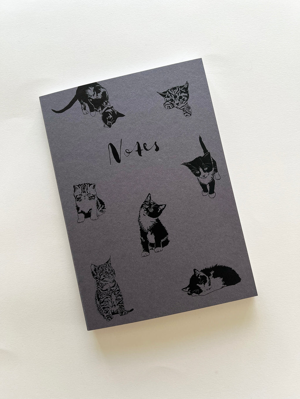 Pre-order | Notebooks Starter Pack | 36