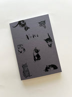 Pre-order | Notebooks Starter Pack | 36