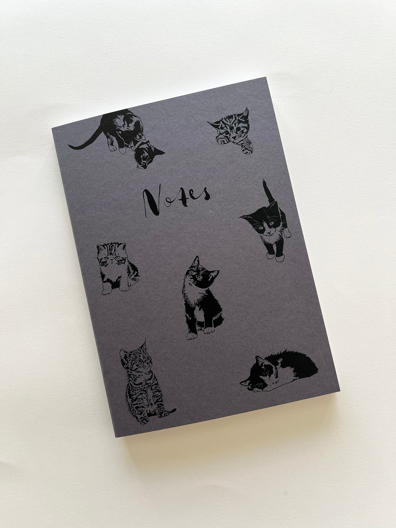 Pre-order | Notebooks Starter Pack | 36