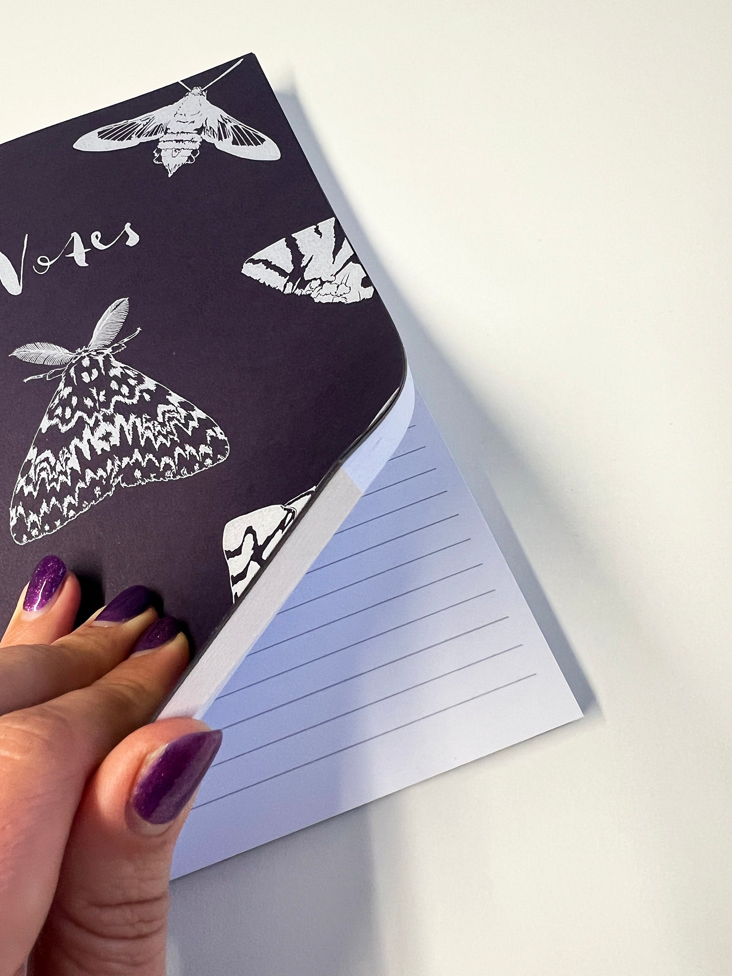 Pre-order | Moths Notebook