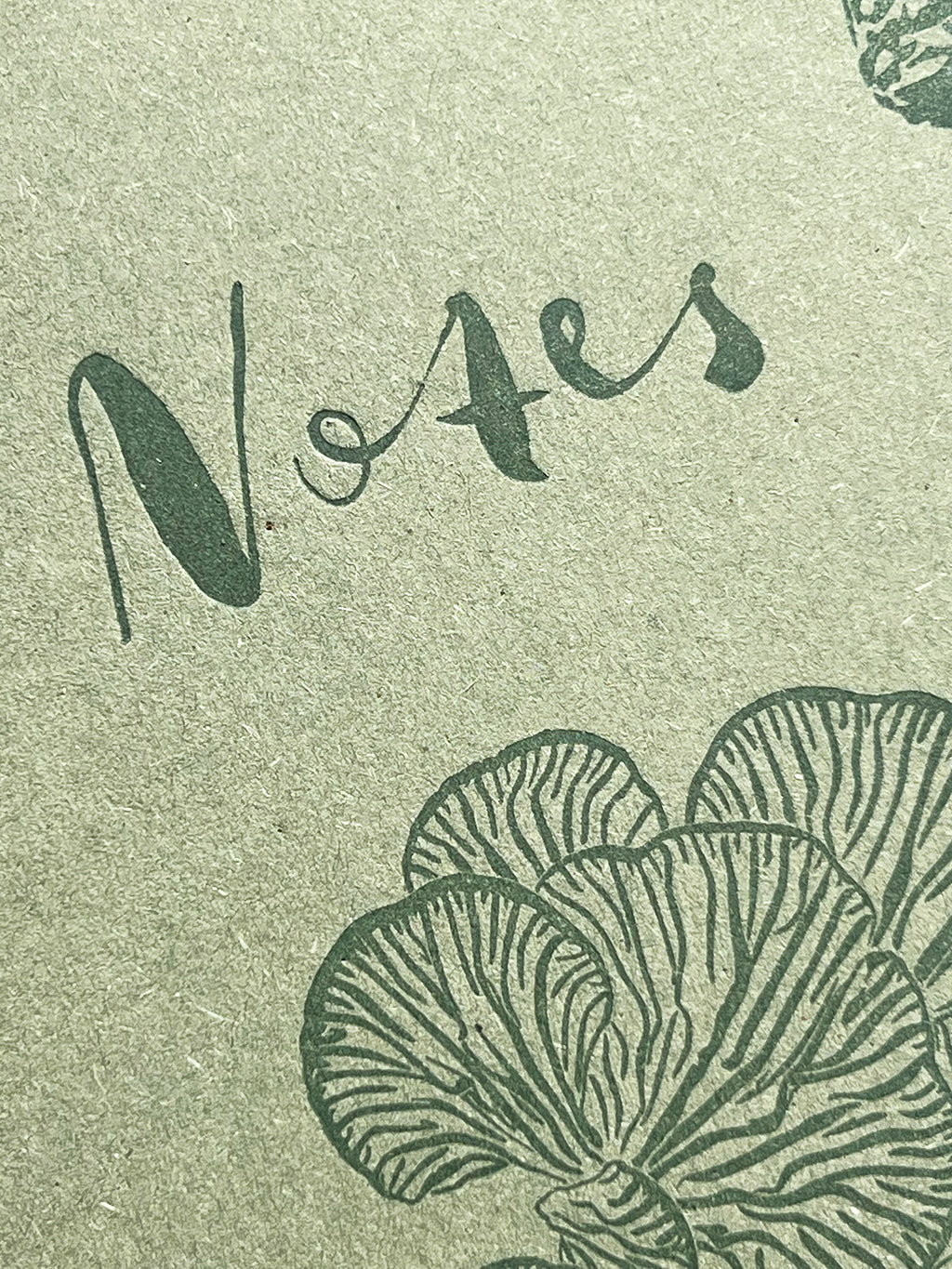 Fungi Notebook