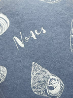 Shell Notebook