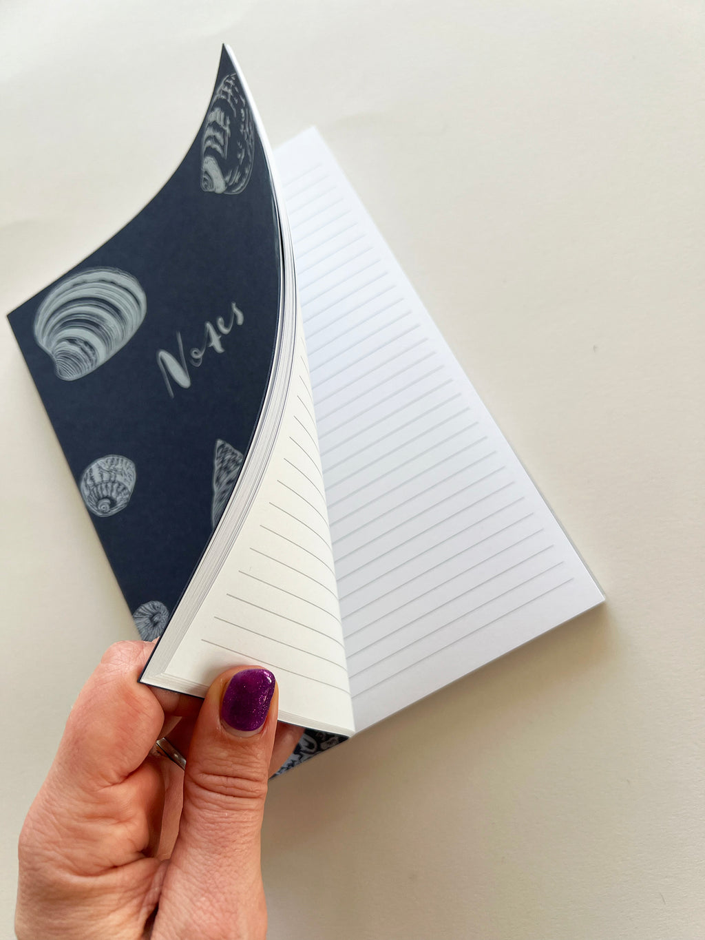 Pre-order | Shell Notebook