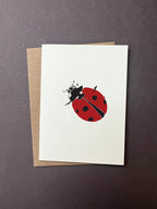 Insect Notecard Set | Set of 8
