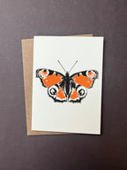 Insect Notecard Set | Set of 8