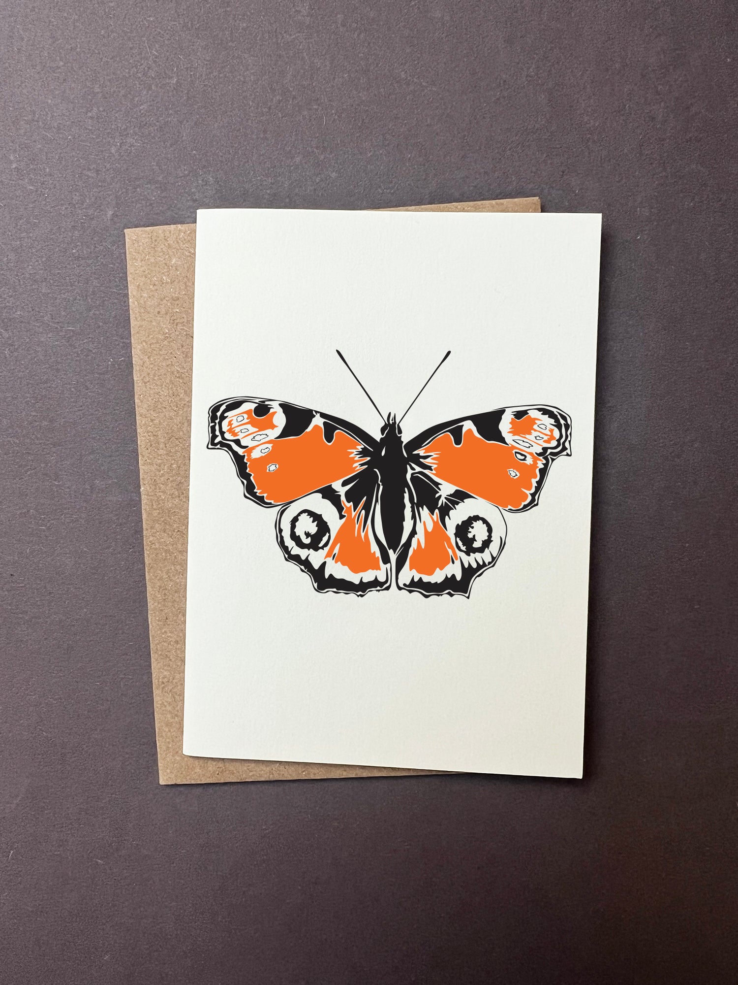 Insect Notecard Set | Set of 8