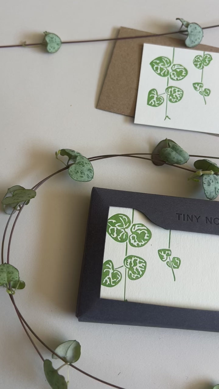 String of Hearts Tiny Note Boxed Set | Set of 10